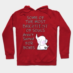 Autism Awareness Quote Special Ed Autistic Support Gifts Hoodie